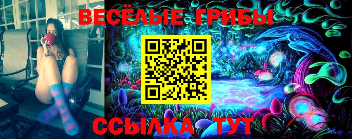 Псилоцибиновые грибы GOLDEN TEACHER Новокузнецк