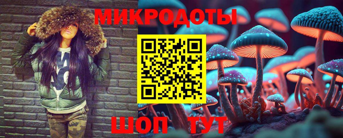 Псилоцибиновые грибы MAGIC MUSHROOMS  Новокузнецк 